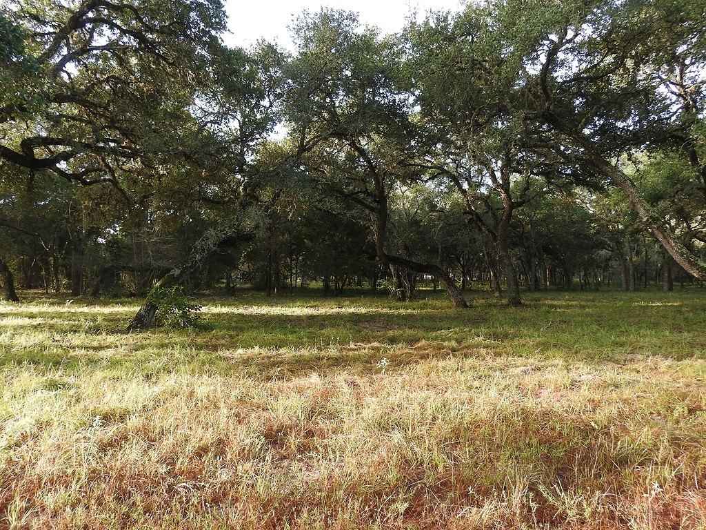 000 County Rd 157  
