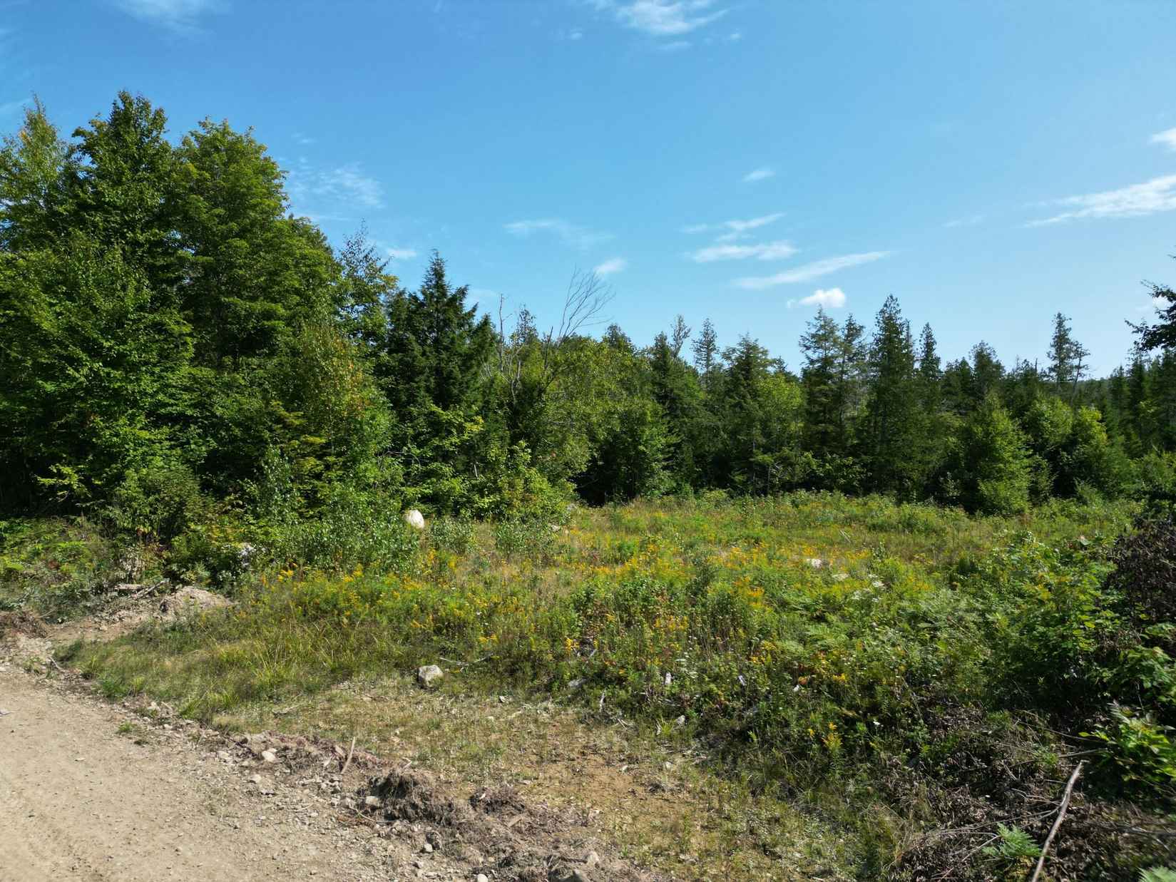 Lot 5 Dirty Glove Rd  