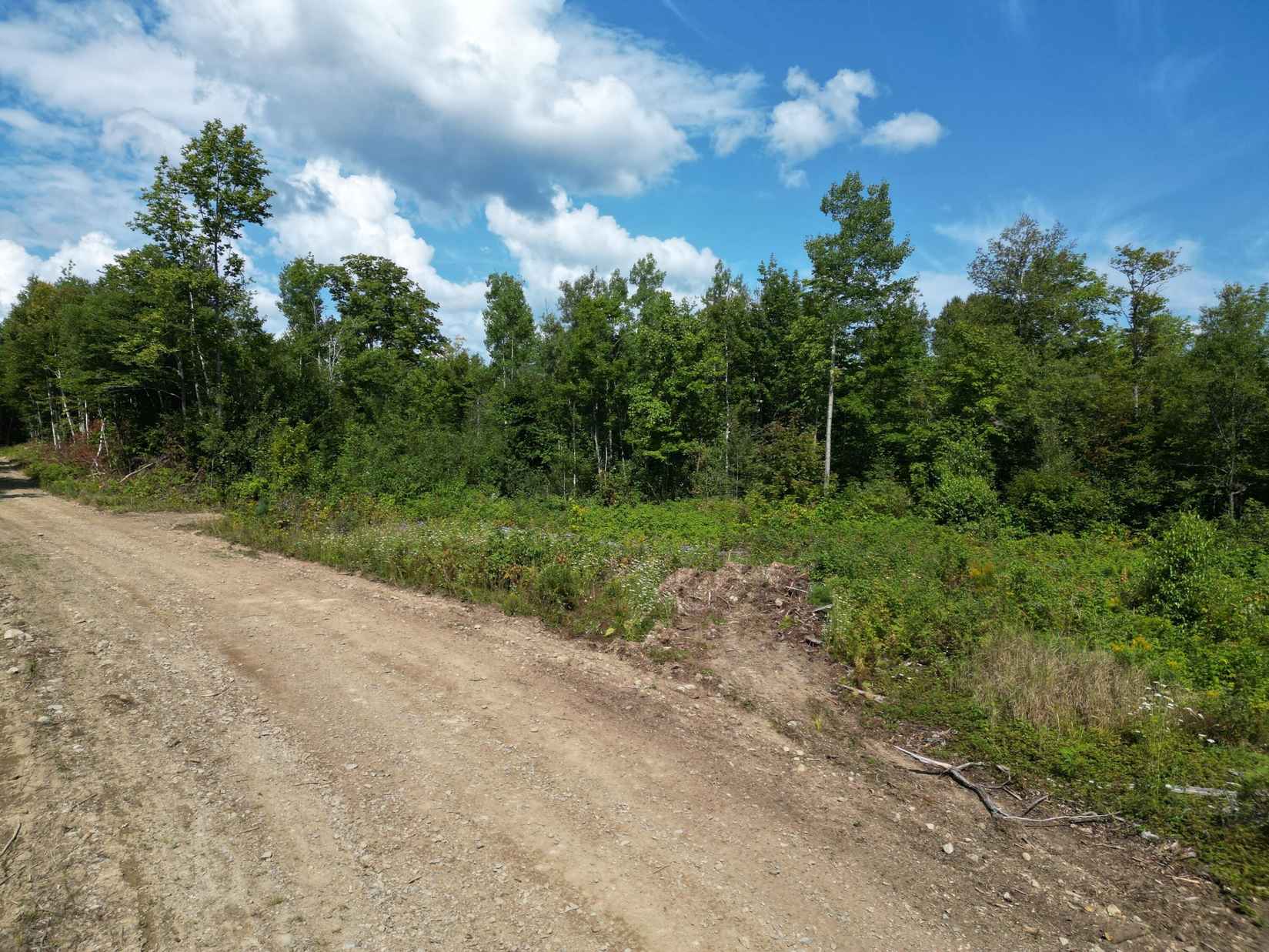 Lot 4 Bear Ln  