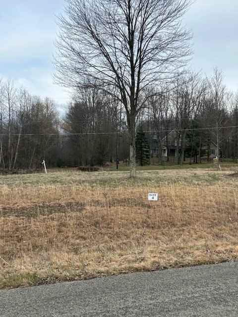 0 Troy Dr Lot Unit 4  