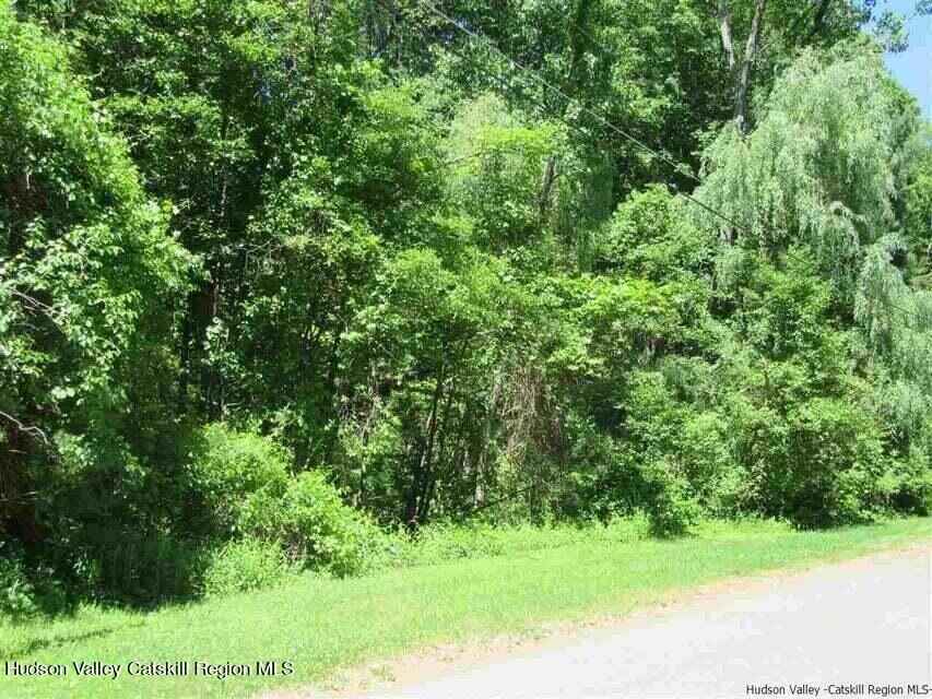00 Shagbark Dr  