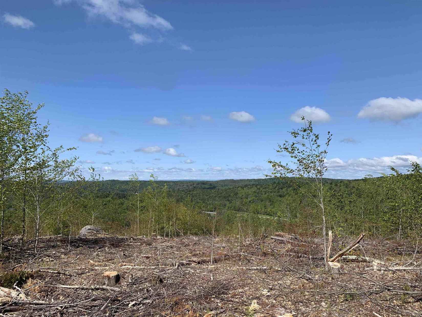 Lot 96-1 Granite Lk Rd  