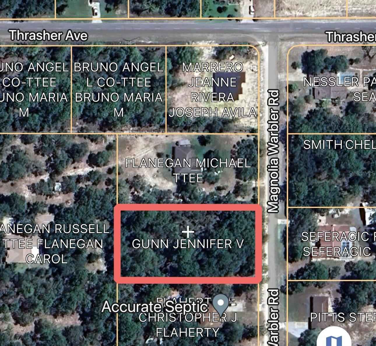 16183 MAGNOLIA WARBLER Rd  