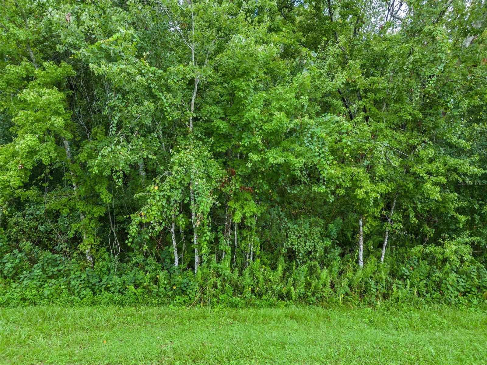 4500 STORY Rd  