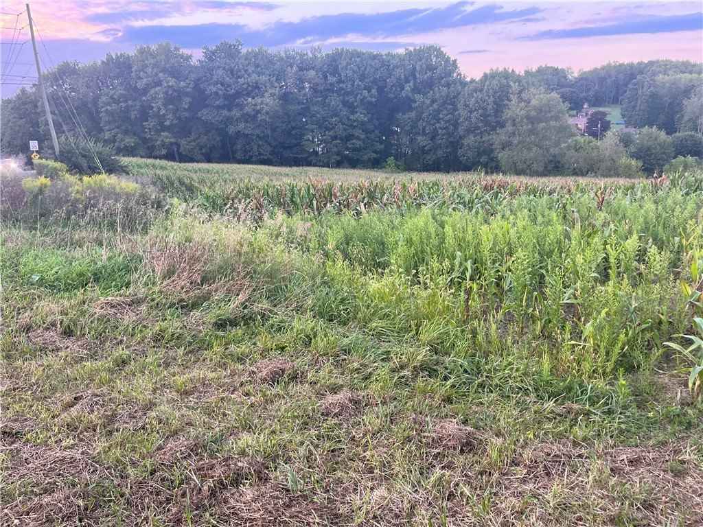 Lot Unit 1 Saxonburg Rd  