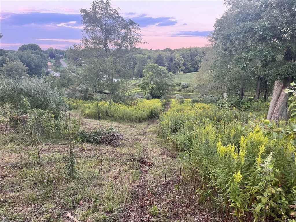 Lot Unit 3 Saxonburg Rd  