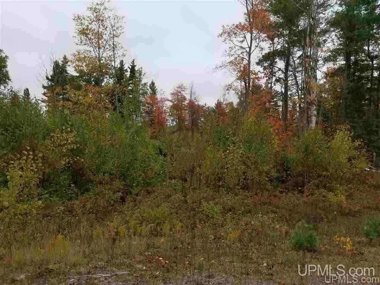 Unit Unit 30 N Greenwood Lk  