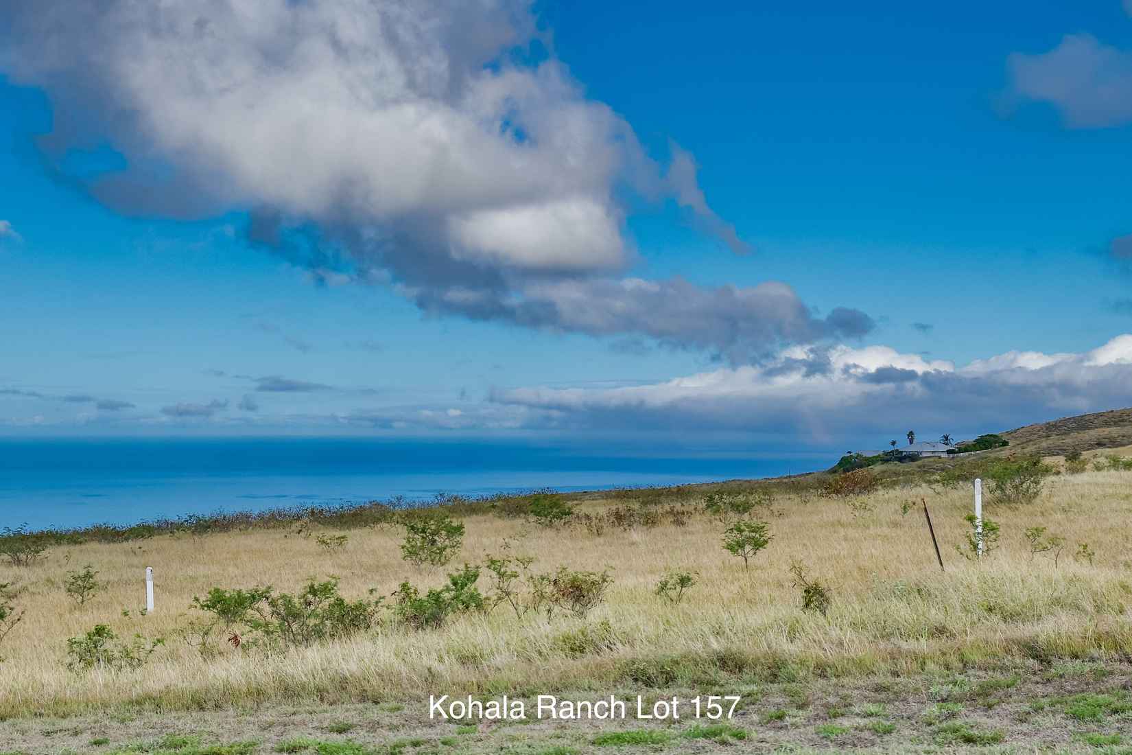 59-1009 KOHALA Rnch RD  