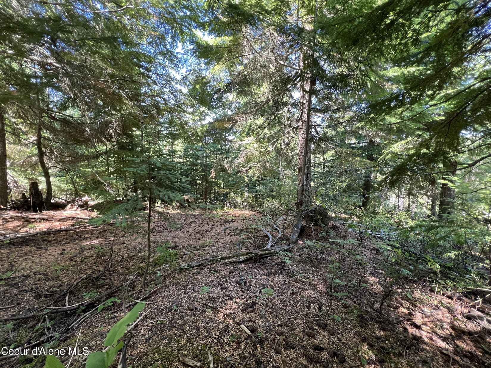 520 Alpine Dr  
