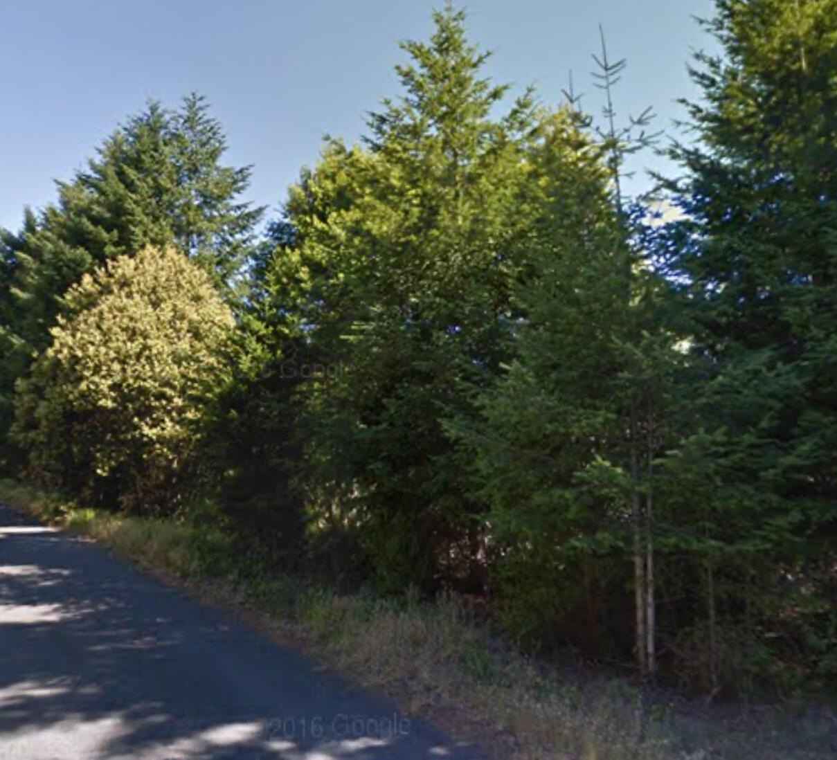 379 Redwood Rd  