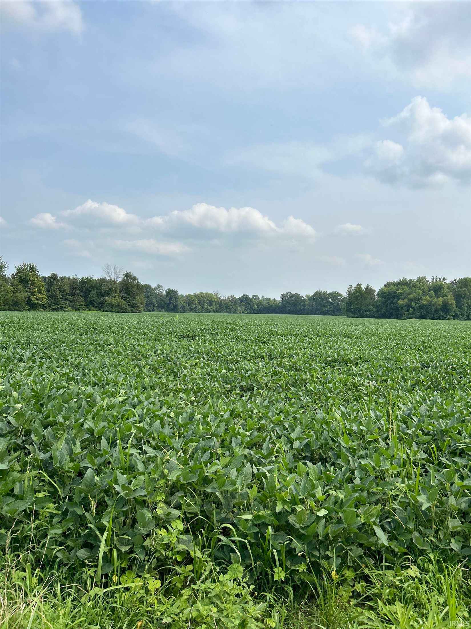 1672 E County Road 550 South Rd  