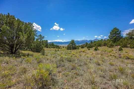 143 Taos Trl  