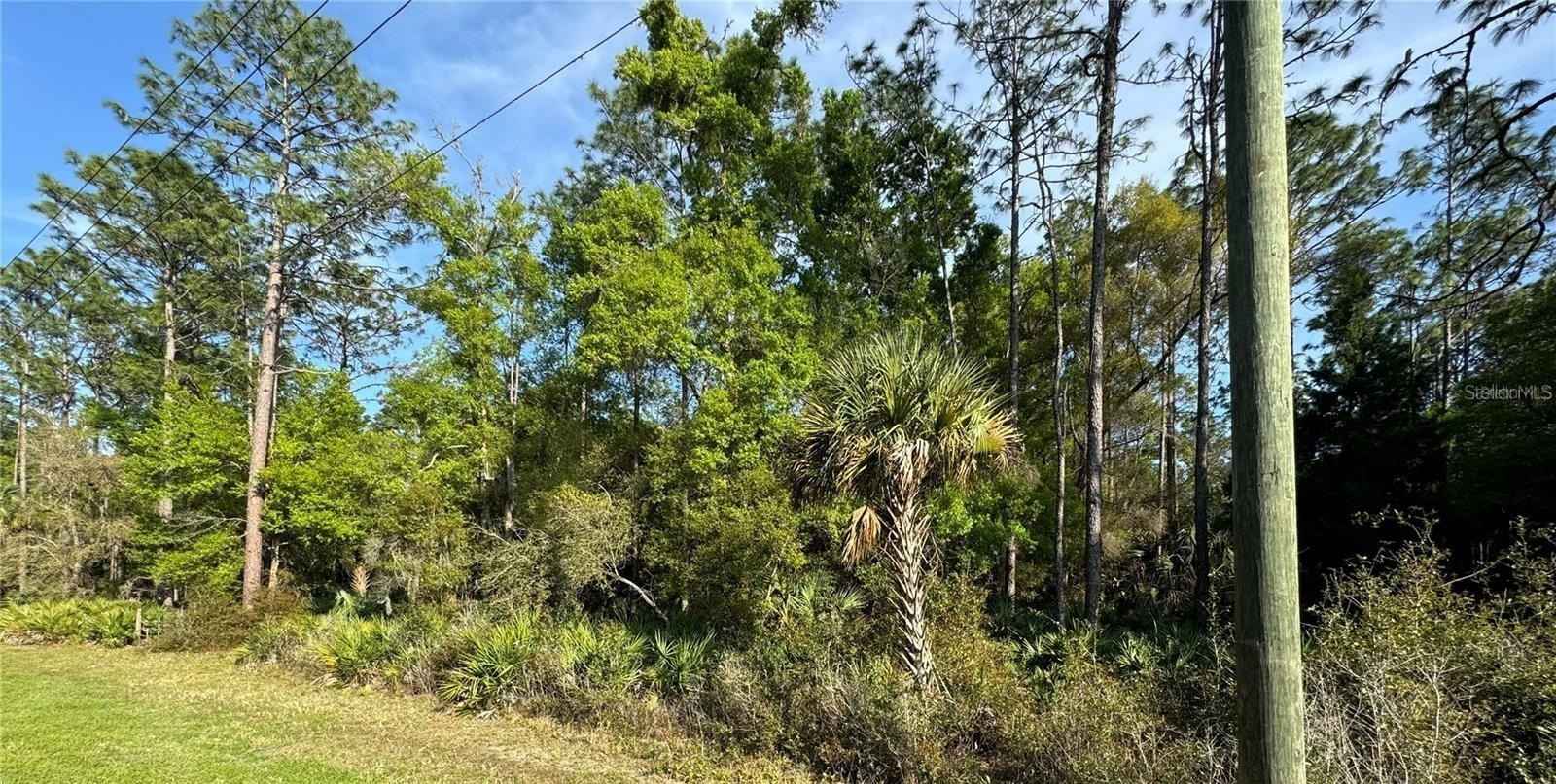 10070 W DUNNELLON Rd  