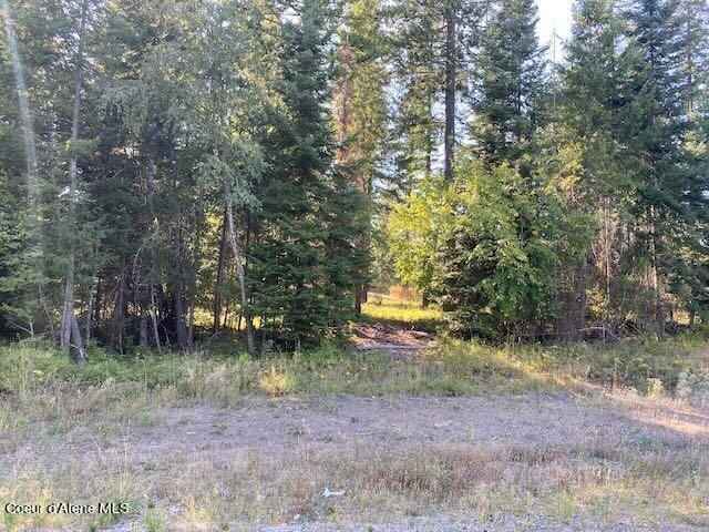 L3b10 N Walden Loop  