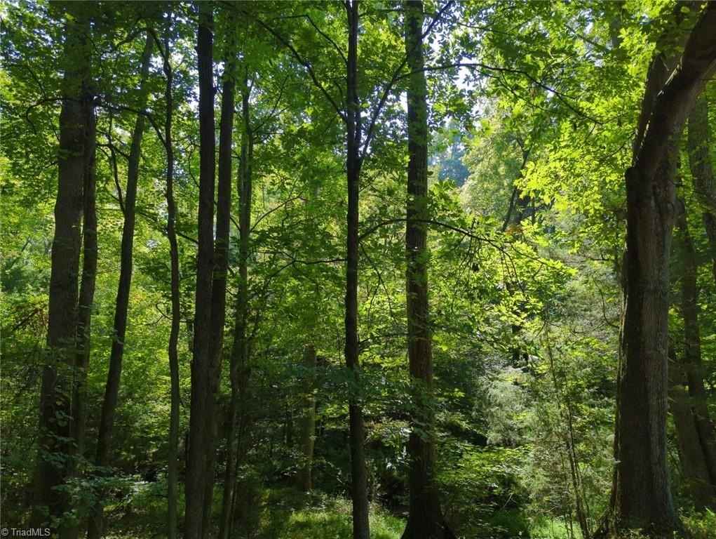 00 Powell Rd  