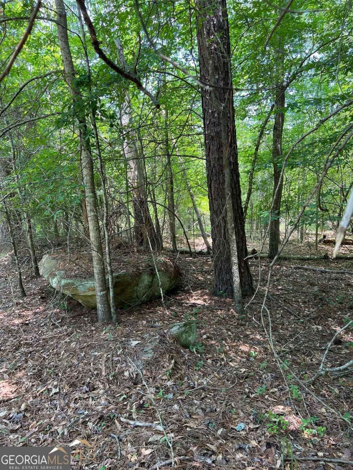 0 Crooked Creek Bay Rd  