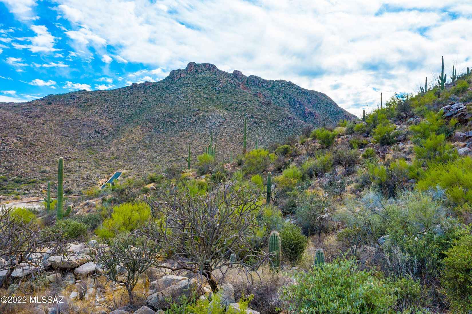 4255 W Cush Canyon Loop  