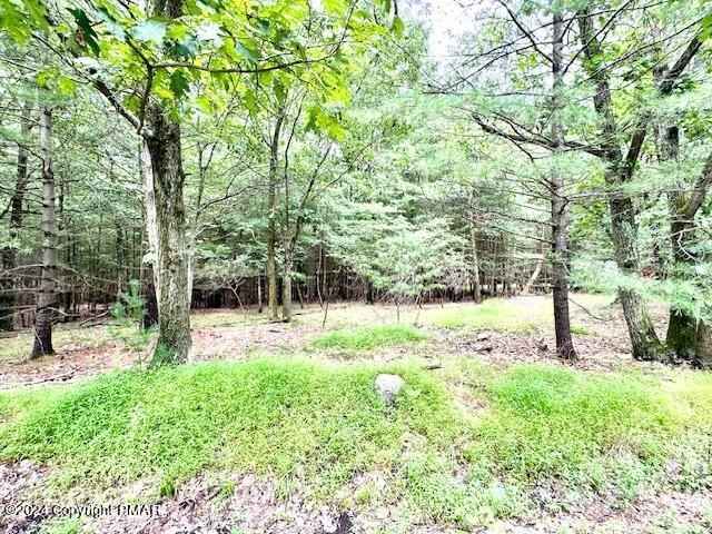 Lot 508 Tannebaum Way  