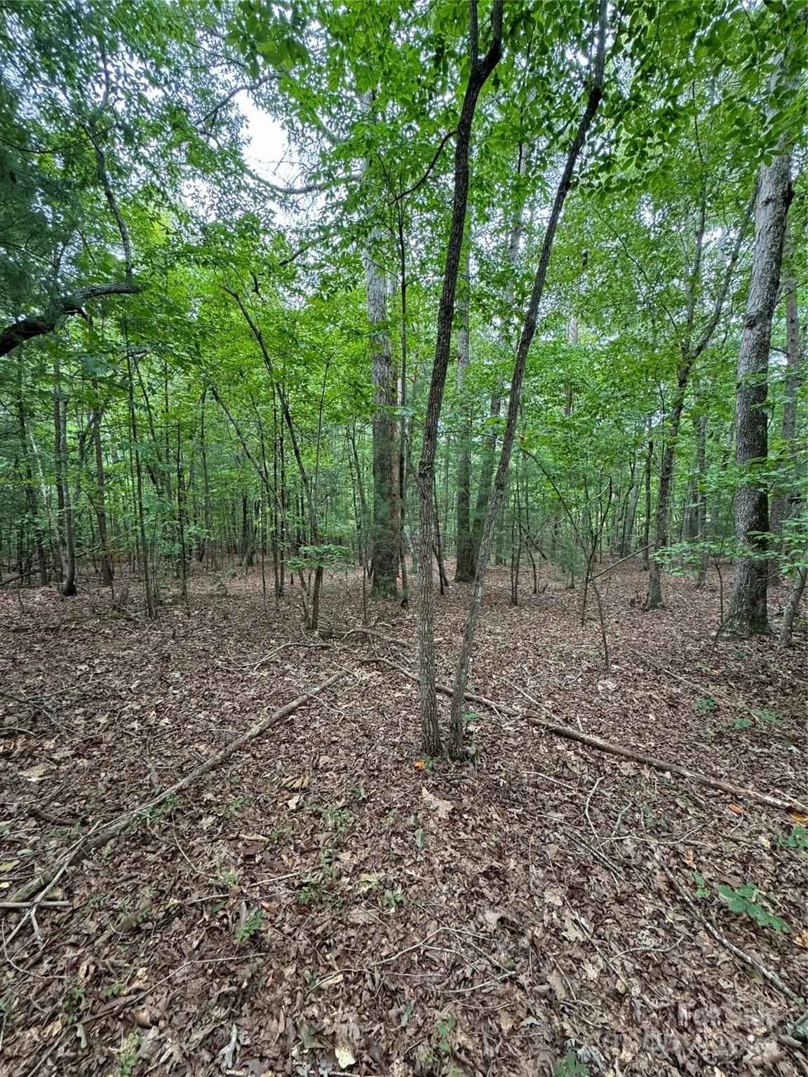 4705 Warlick Chapel Rd  