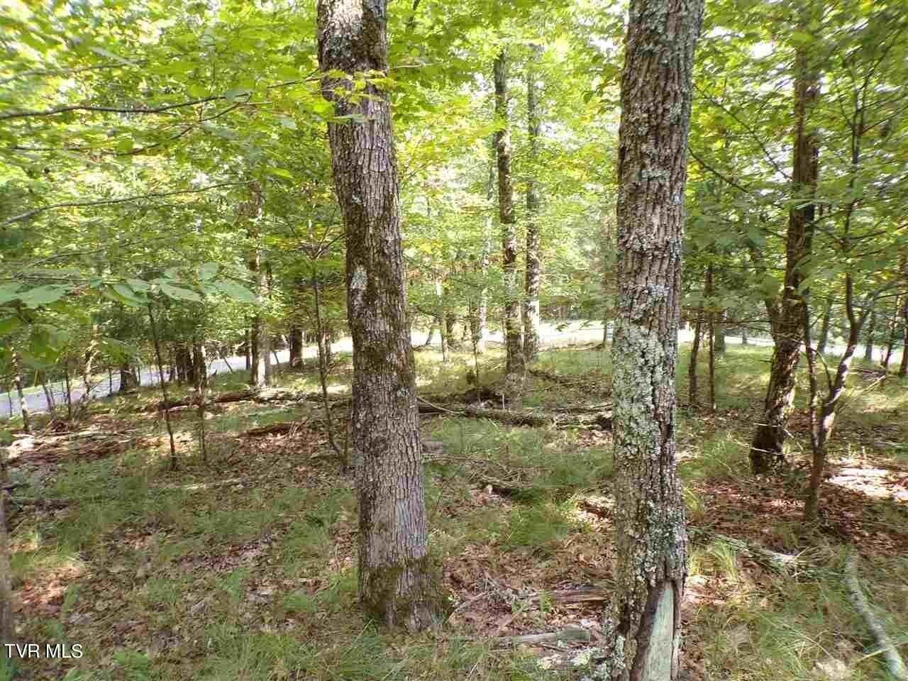 1433/1437 Echota Ln  