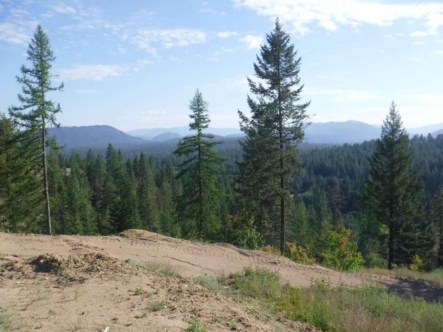 Lot 2 Moose Ridge Way  