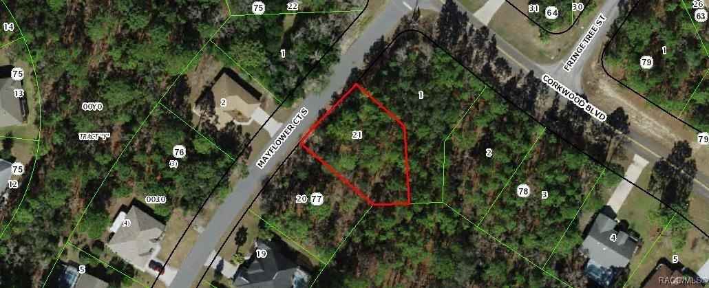 3 Mayflower Ct S  