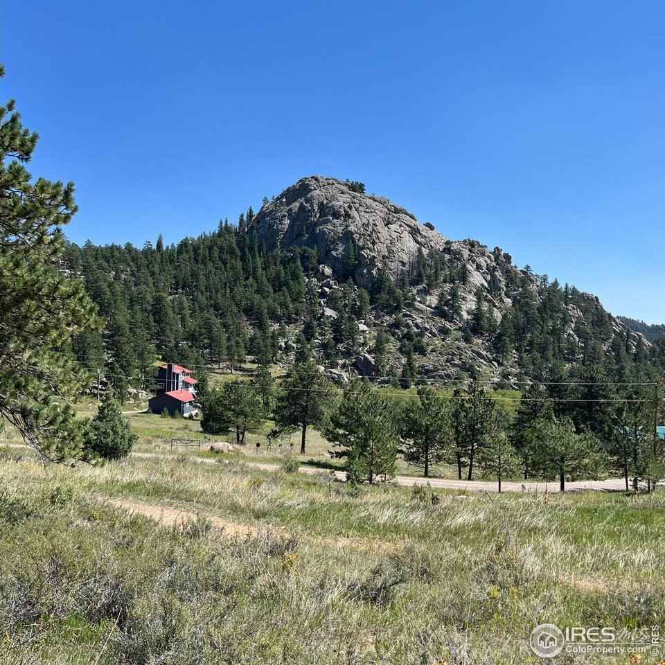 60 Horn Peak Dr  
