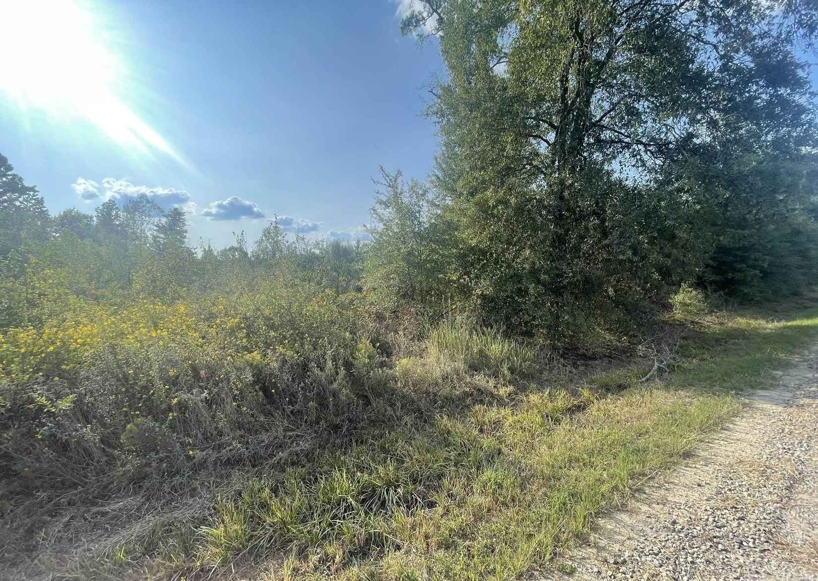 000 Luther Six Rd  