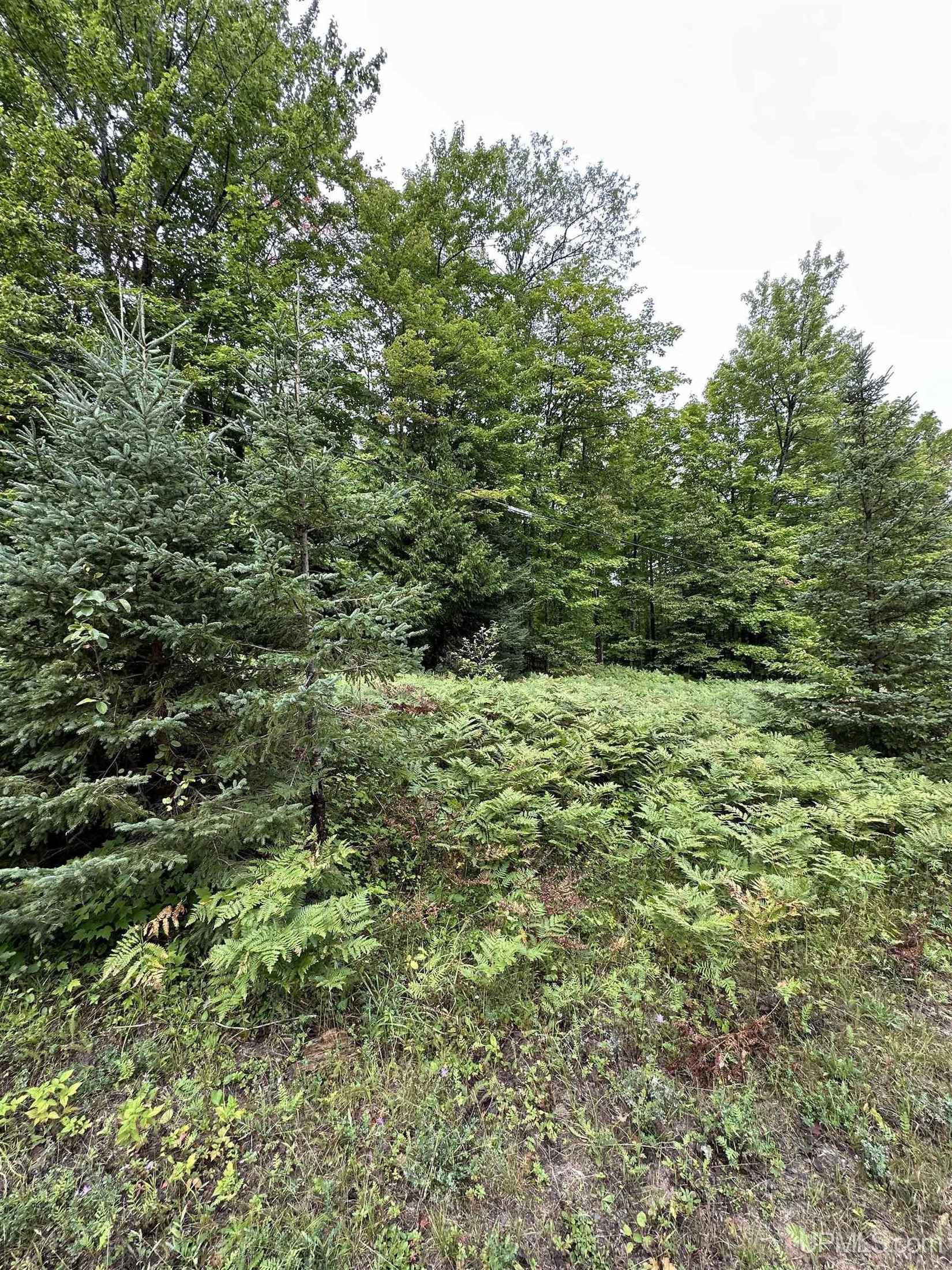 Lot Unit 6 Maple Rdg  