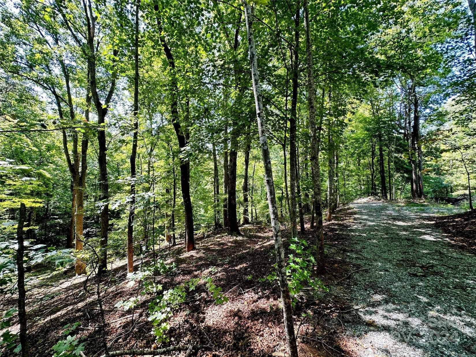 00 Howard Gap Rd  