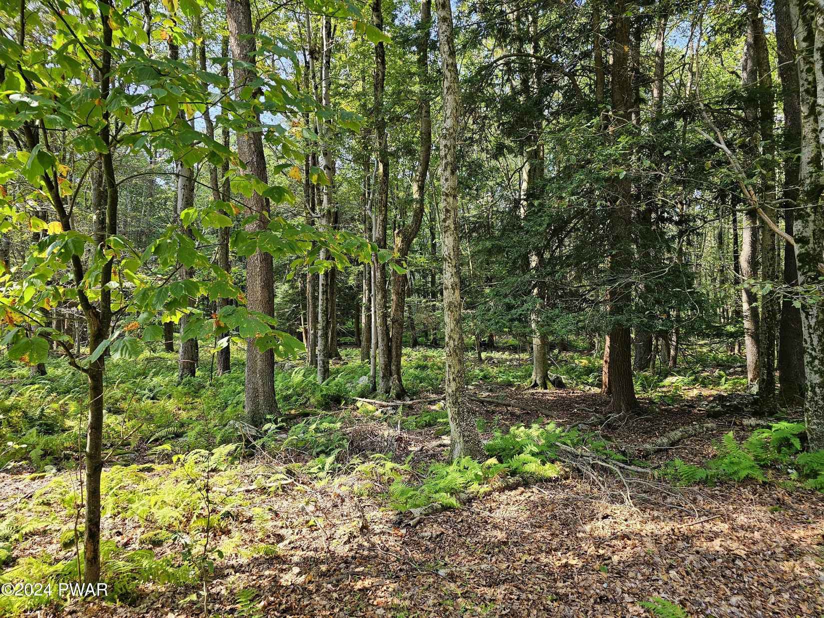 Lot 172 Maple Ln  