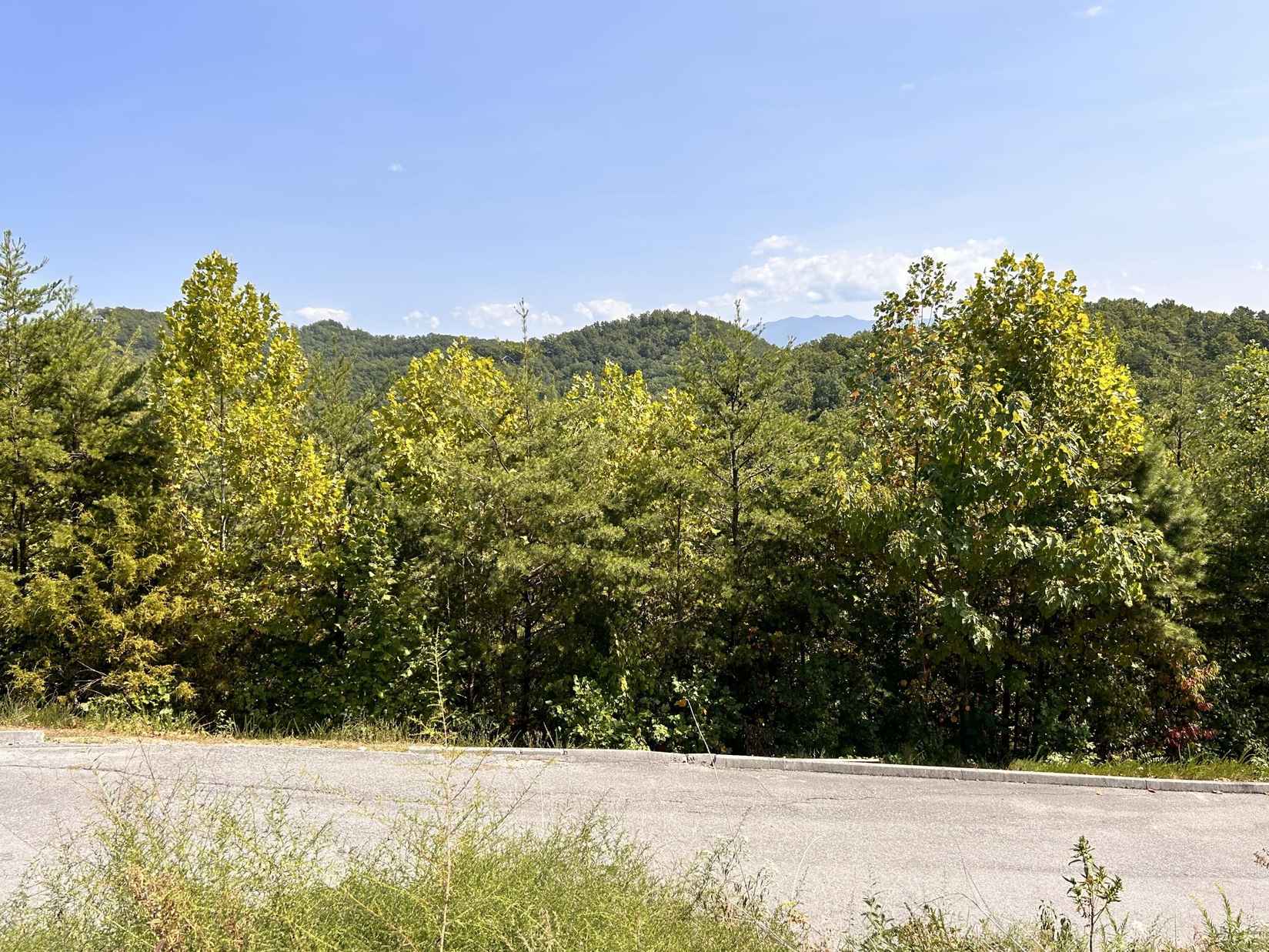 Lot 113 Eagle Cloud Way  