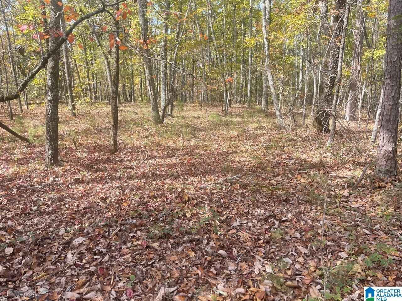 36 acres COUNTY Rd 30  