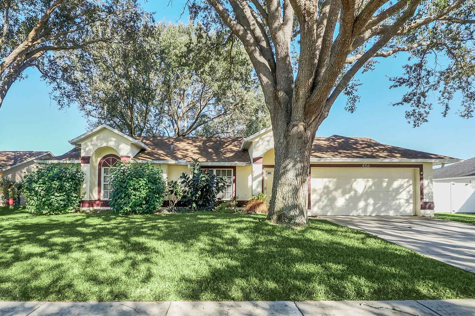 4156 Climbing Aster Ct  