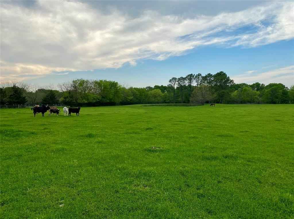 7984 County Rd 2582  