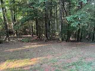 Lot 3 DANCING RABBIT Ln  