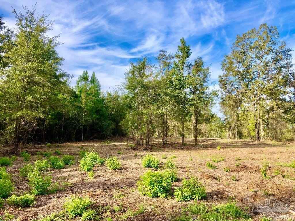 Lot 10 Bs Buffalo Rdg Rd  