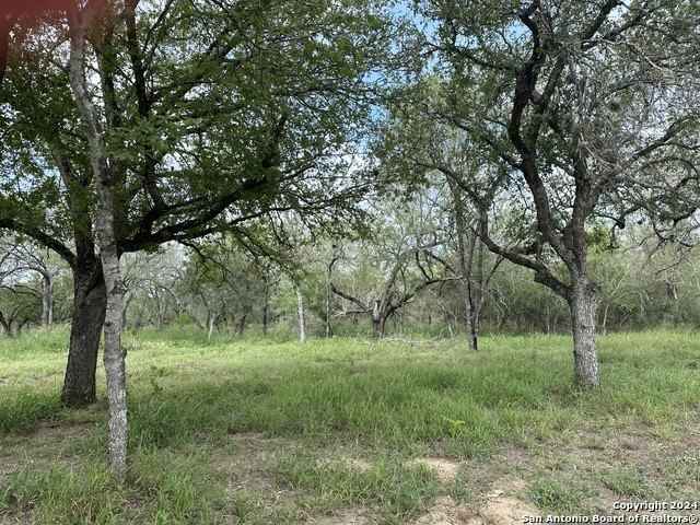 20588 S State Hwy 16  