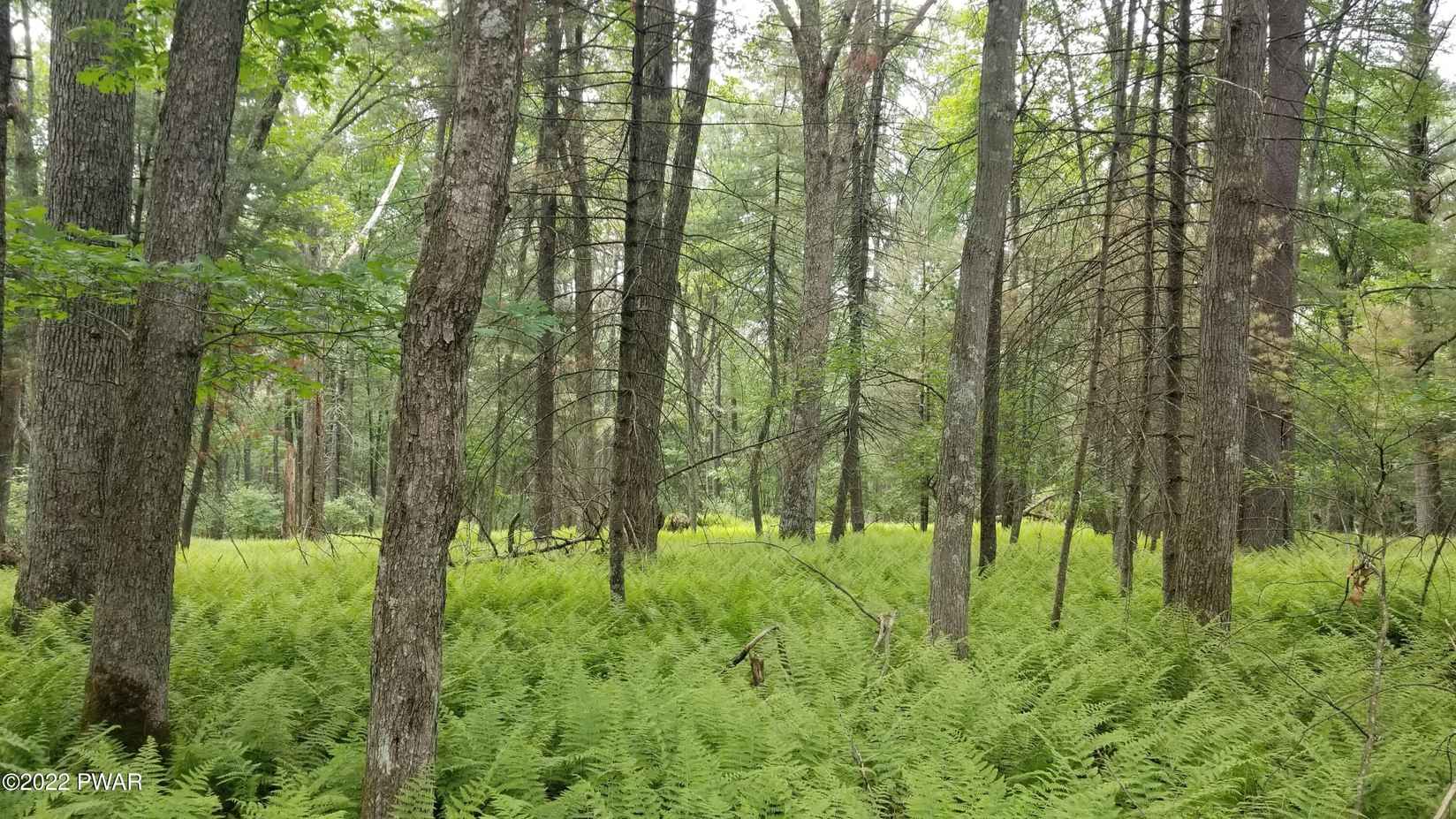 Lot 99 Fawn Lk Dr  