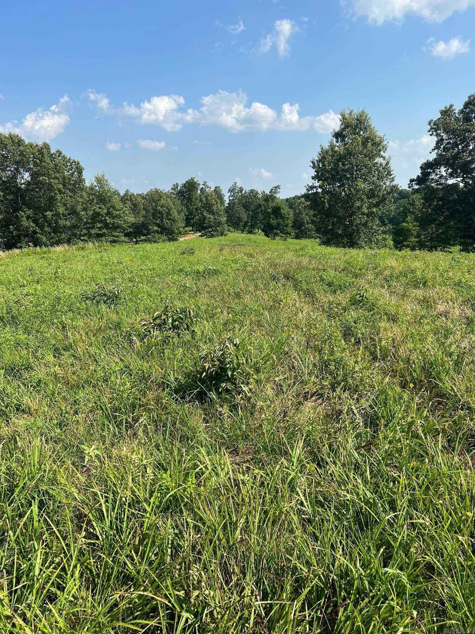 7 86 acres County Rd 118  