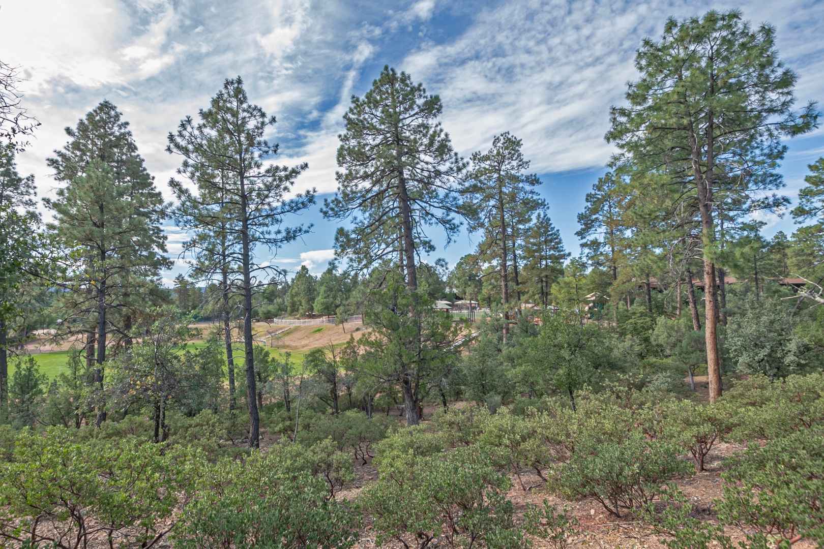3003 E Chuparosa Cir  