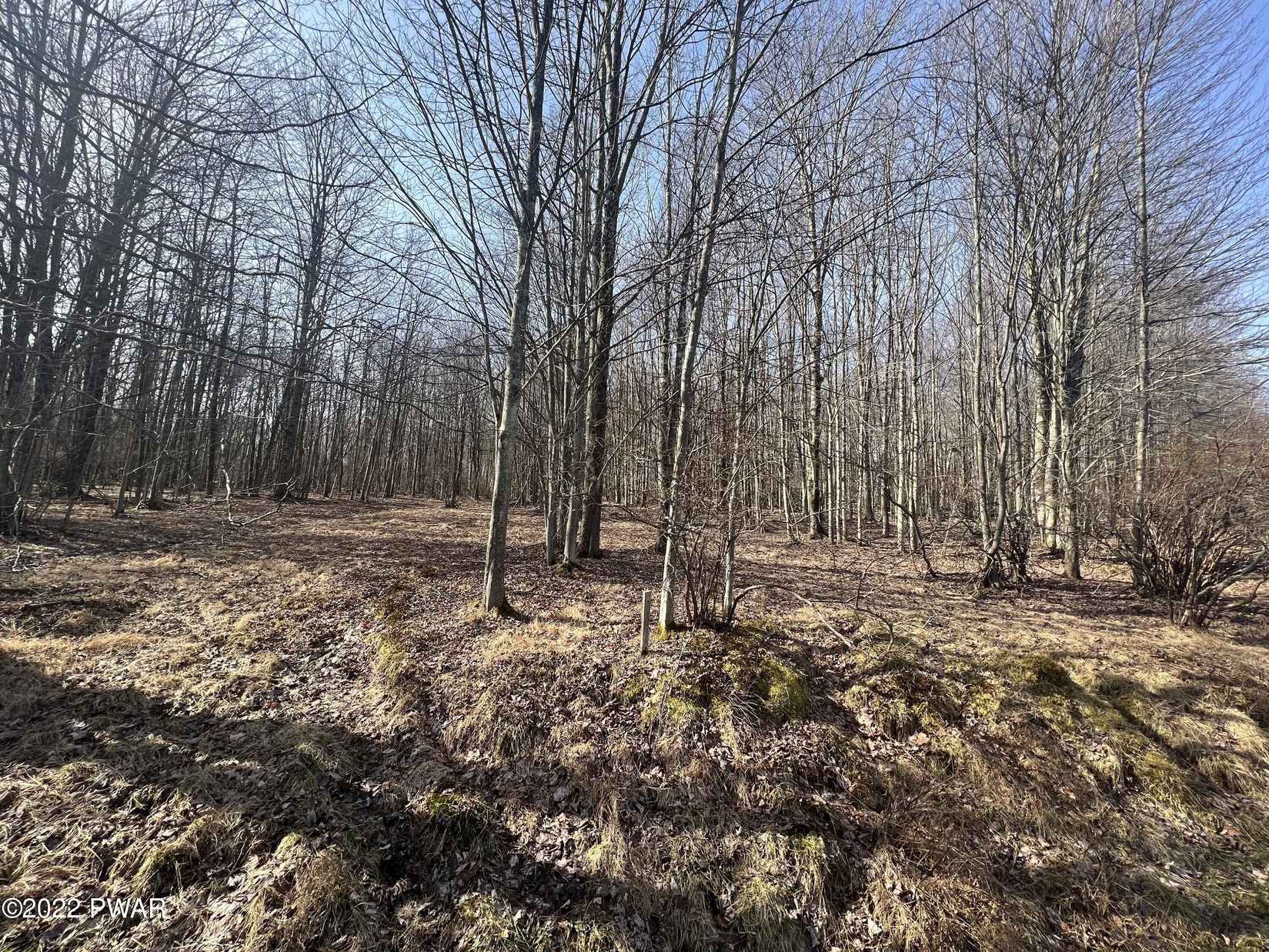 Lot 394 Snowshoe Cir  