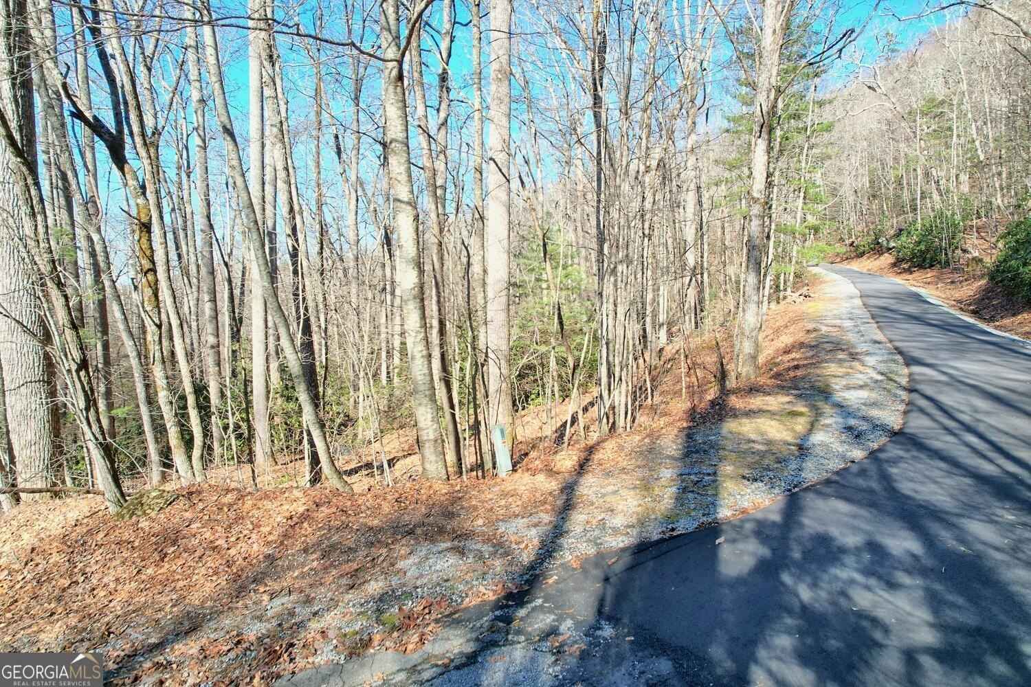0 Walking Bear Ln  