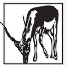 21103 South US Highway 377 Hwy  