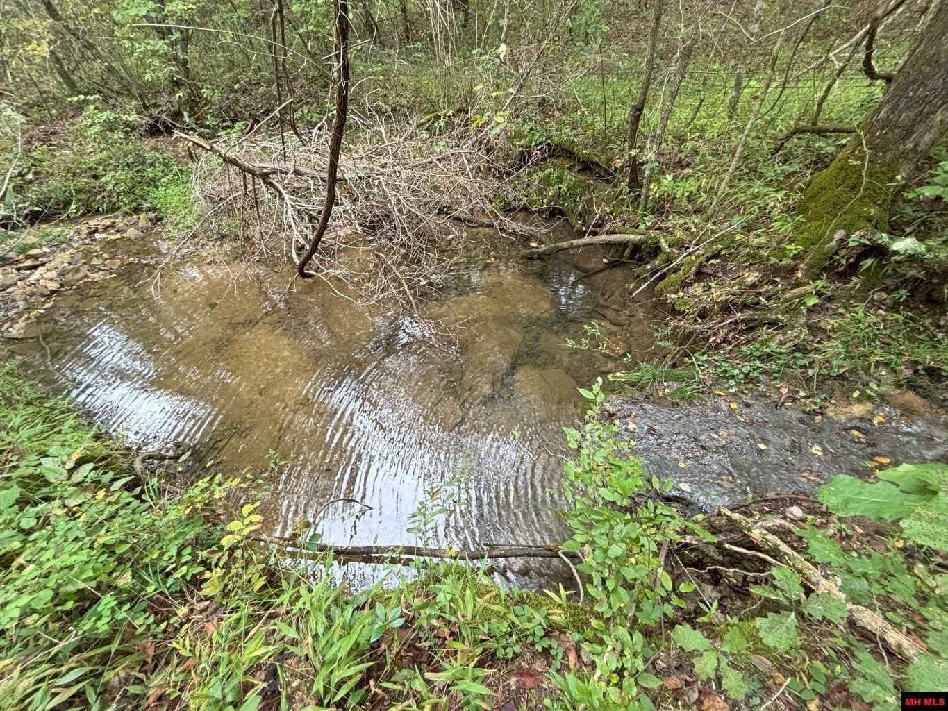 001-04254-001 PLUMTREE Trl  