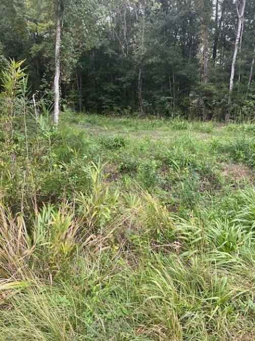 6572 N Hwy 17  