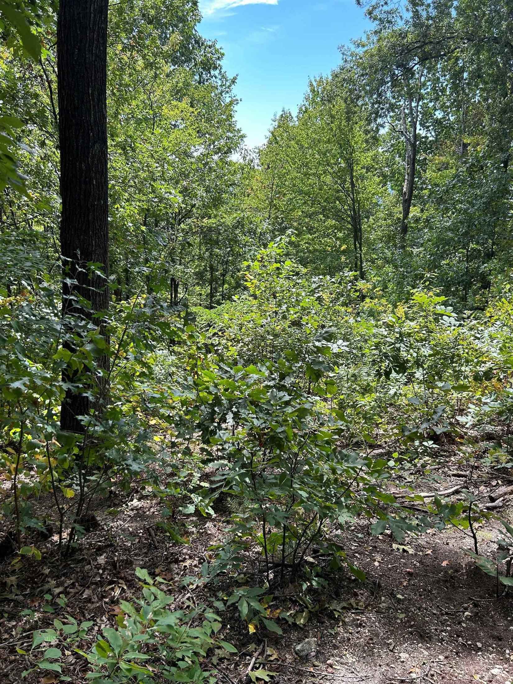 209 Southview Ledge Rd  