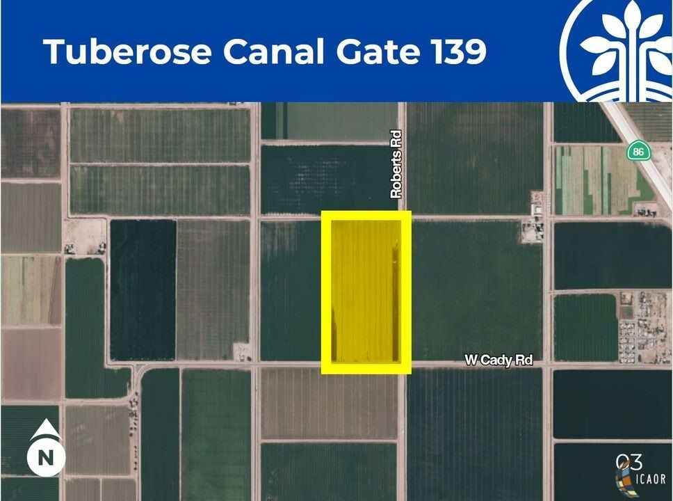 139 Tuberose Canal  