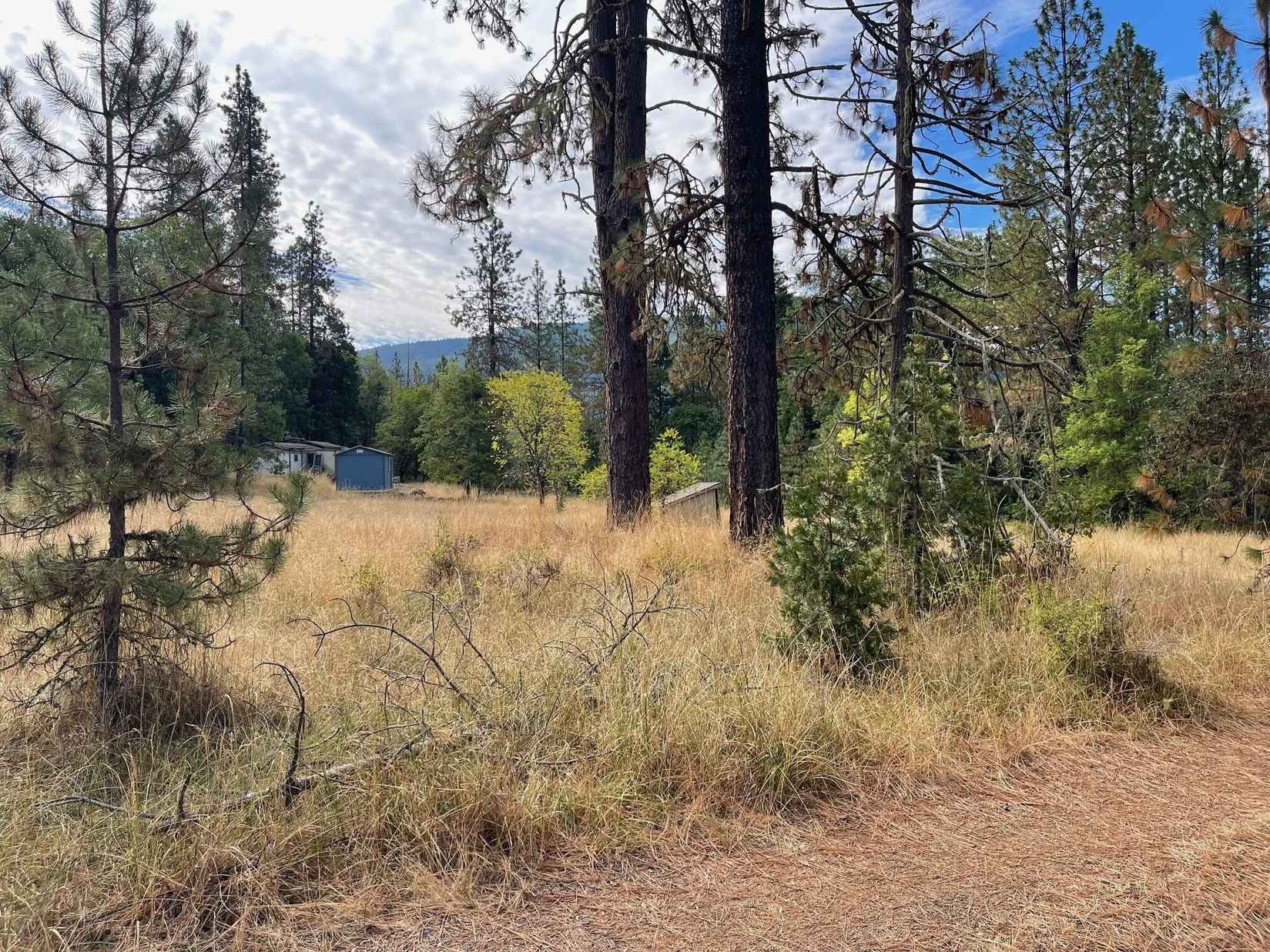 3006 Jump Off Joe Crk Rd  