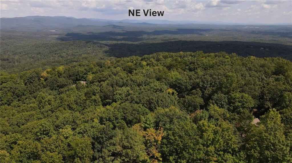 68 Wood Fern Knl  